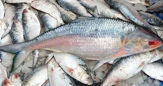 দুর্গাপূজার আগেই পশ্চিমবঙ্গে আসছে, আশায় বুক বেঁধেছে পশ্চিমবঙ্গের মানুষ