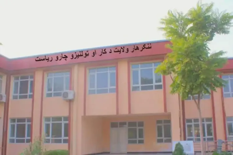 শ্রম ও ভিক্ষাবৃত্তিতে লিপ্ত শতাধিক পথশিশুকে স্কুলে ভর্তি করাল আফগান সরকার