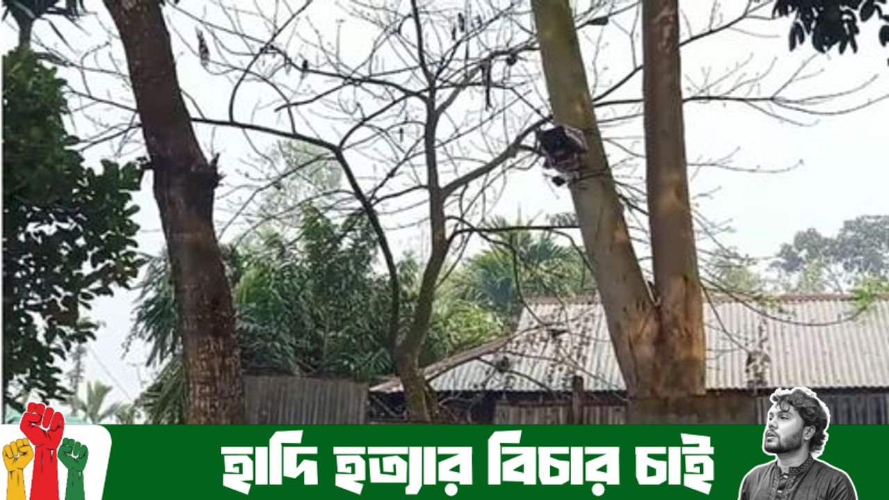 বাঁশজানি সীমান্ত থেকে সিসিটিভি ক্যামেরা সরাল বিএসএফ