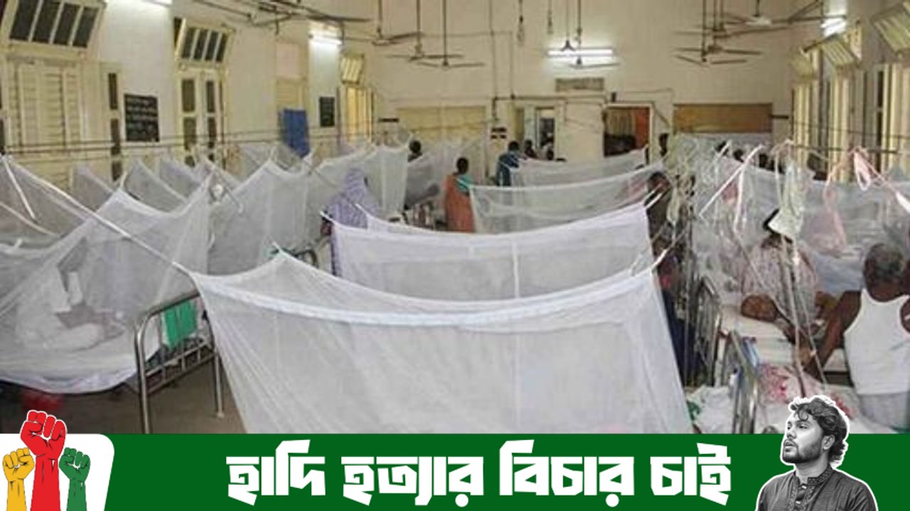 চাঁপাইনবাবগঞ্জে ডেঙ্গুতে একজনের মৃত্যু, হাসপাতালে ভর্তি ৭১